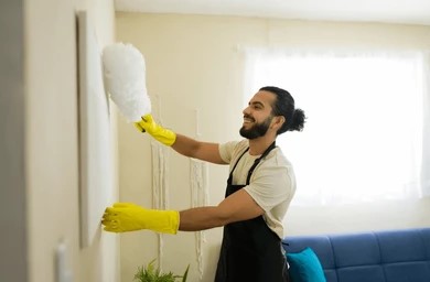 Professional Home Cleaning
